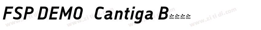 FSP DEMO   Cantiga B字体转换